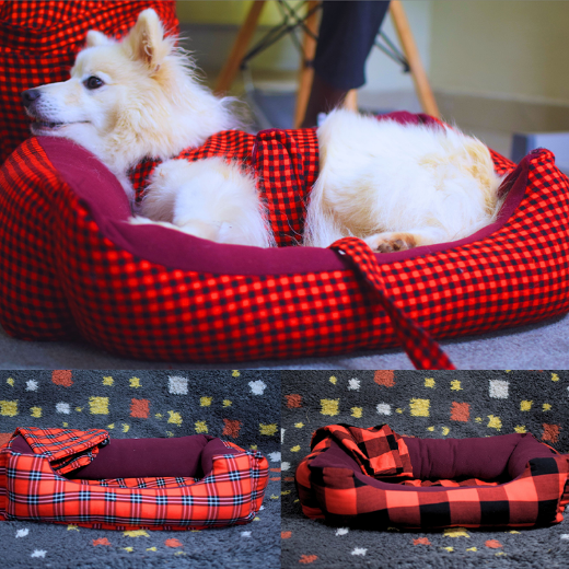 صورة لقسم  الحيوانات الأليفة