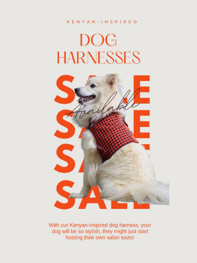 Picture of  Dog harnesses with matching leash