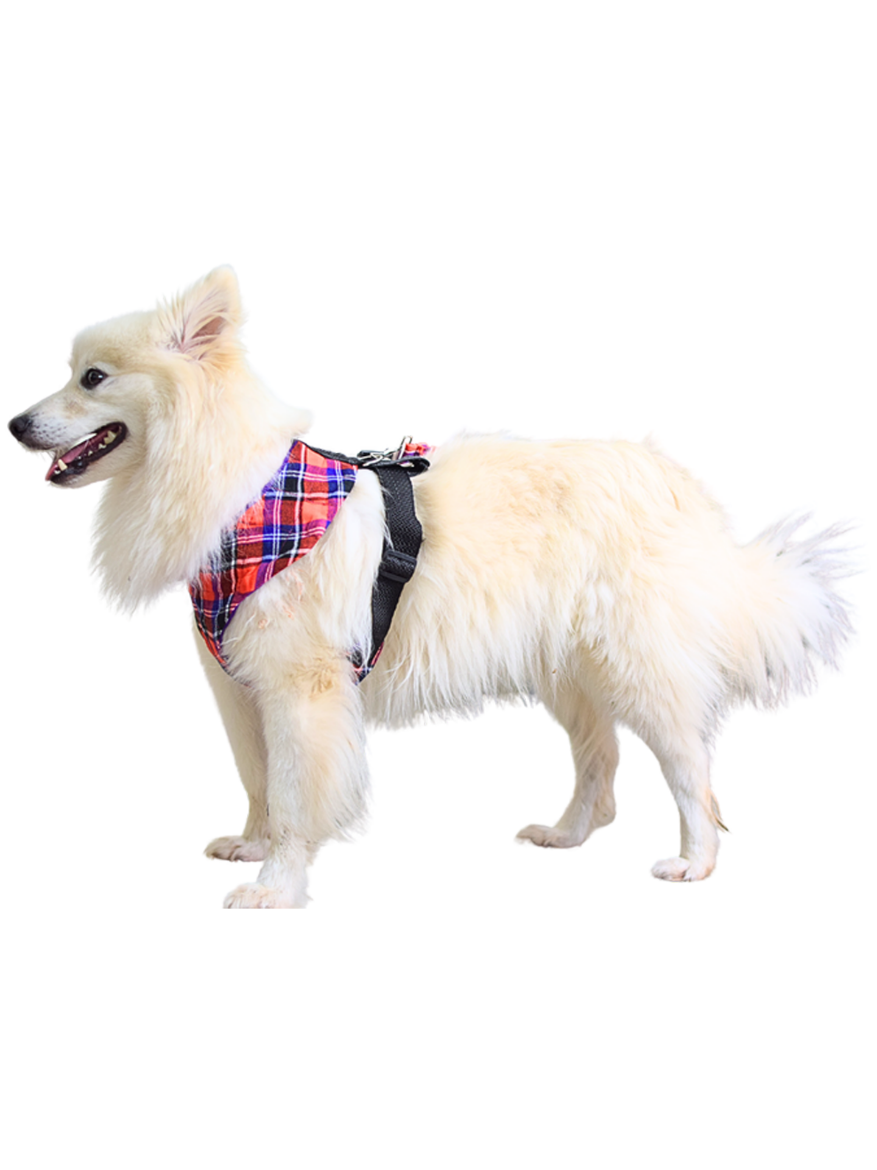 Picture of  Dog vest harnesses with side straps