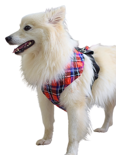 Picture of  Dog vest harnesses with side straps