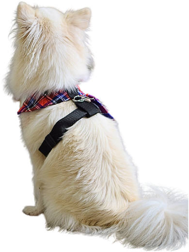 Picture of  Dog vest harnesses with side straps