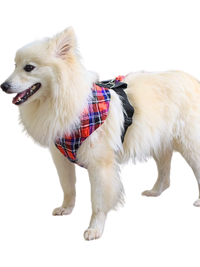 Picture of  Dog vest harnesses with side straps