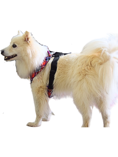 Picture of  Dog vest harnesses with side straps