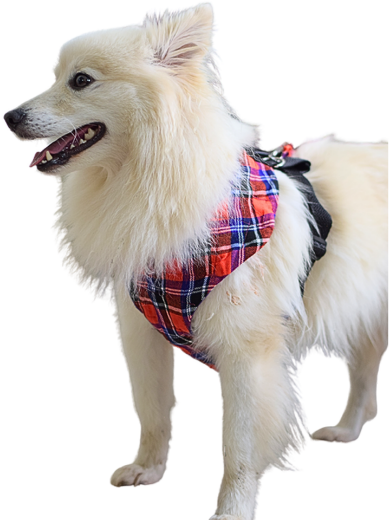 Picture of  Dog vest harnesses with side straps