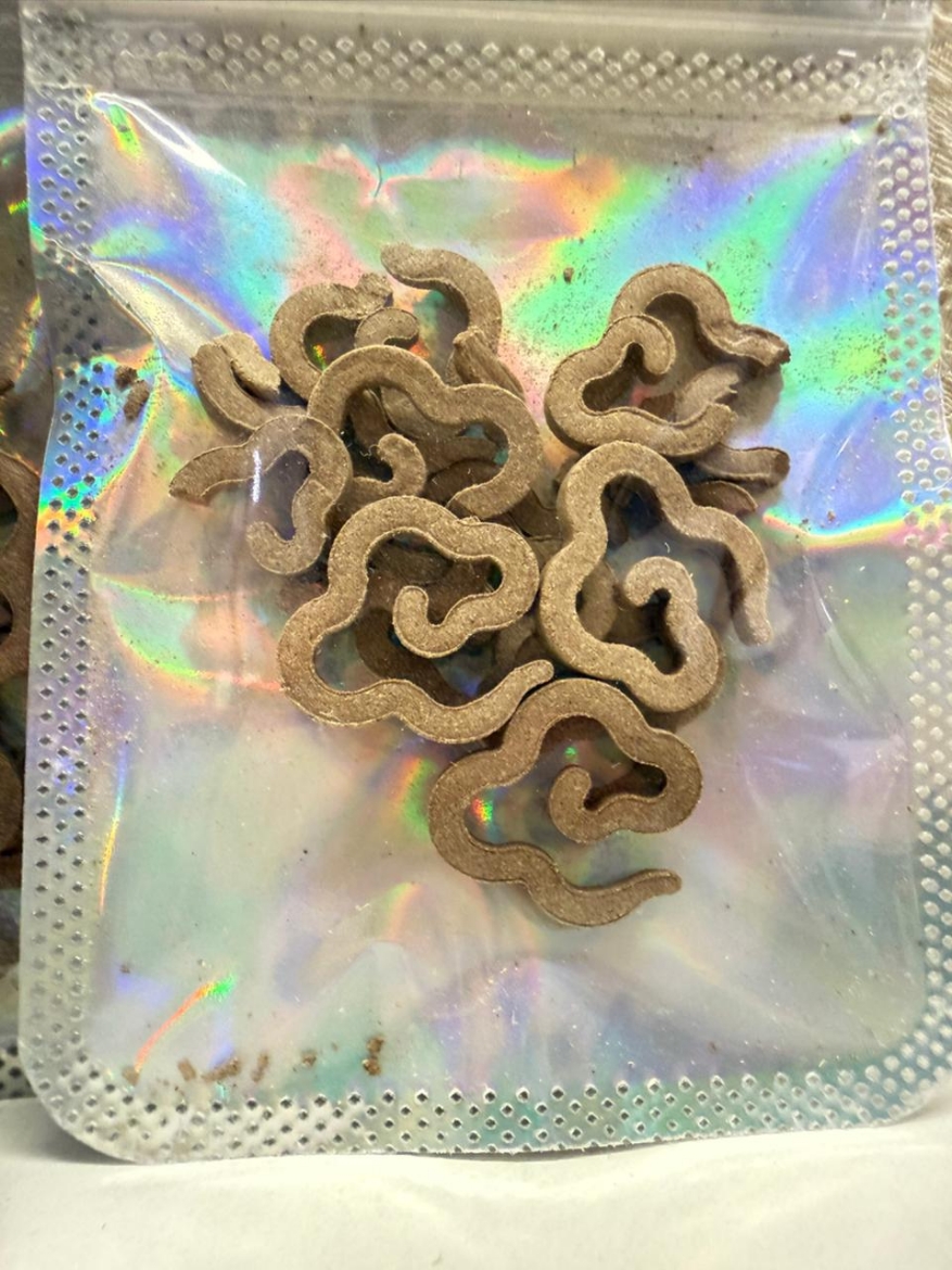 Picture of Coil incense